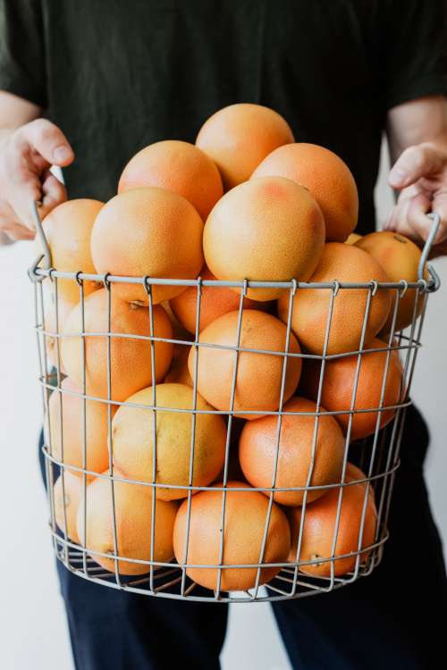 So Many Oranges Photo