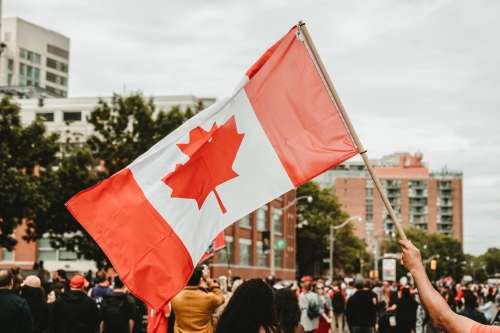 Waving A Canadian Flag Photo
