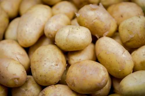 White potatoes in the market