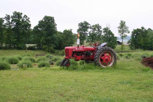 #tractor Farmall tractor Farmall farm farming equipment