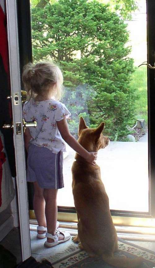 child pet dog loyalty