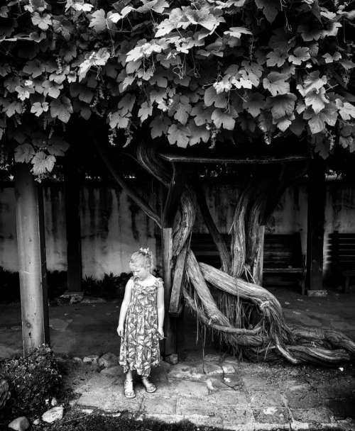 B/w girl tree child