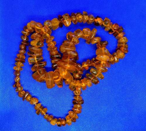 amber necklace fossil
