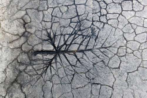 pattern cracks. rock stone texture