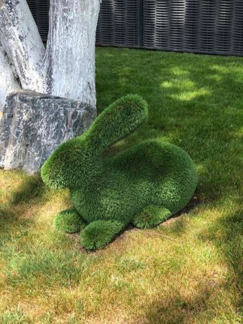 rabbit bunny green sculpture topiary