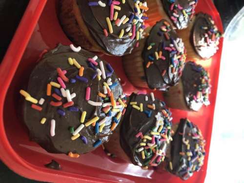 chocolate cupcake cupcakes sprinkles birthday