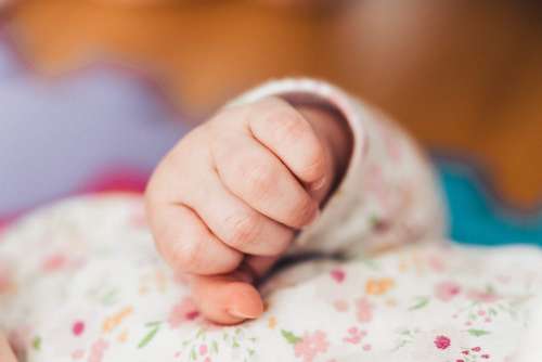 Little Baby Hand Close Up Free Photo