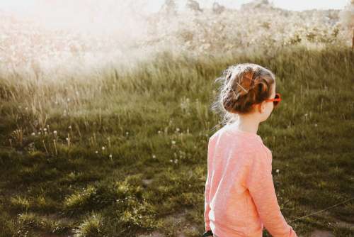 Little Girl Walking in The Meadow Free Photo