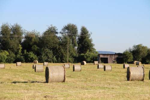 Agriculture Nature Round Bales Meadow