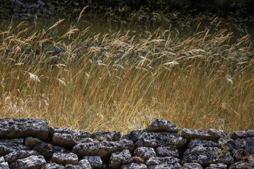 Apt Provence France Vaucluse Rock Hue Wheat