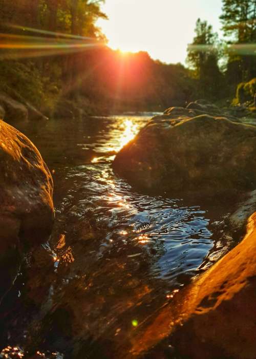 Bach Water Sun Sunset Backlighting River Idyll