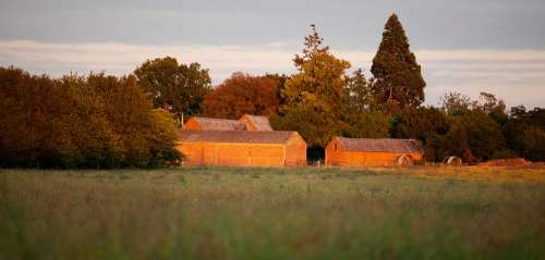 Barn Sunset Field Trees Country Farm Landscape