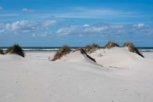 Beach Sea Summer Sand Vacation Nature Dunes