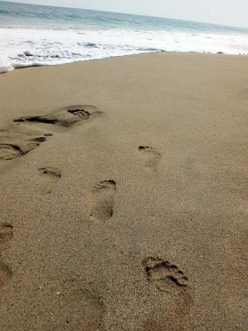 Beach Footsteps Sand