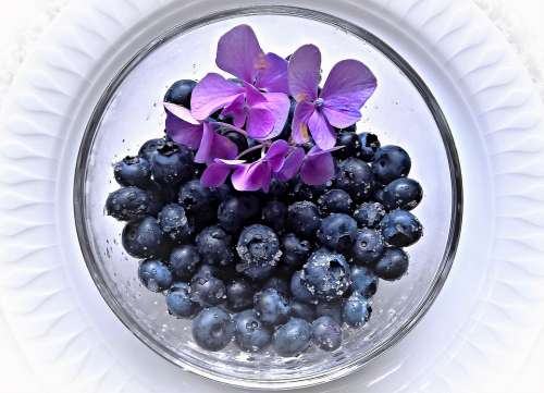 Blueberries Fruits Fruit Big Blue Berries Fresh
