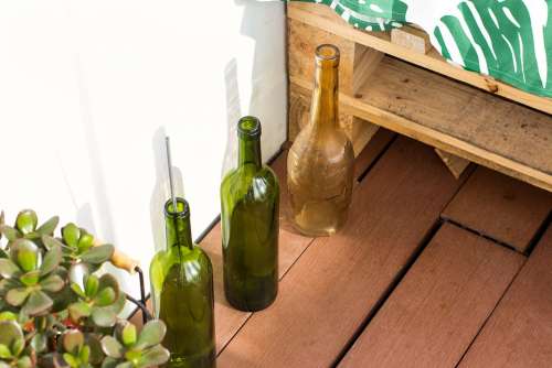 Bottle Bottles Plant Plants Wood Floor House