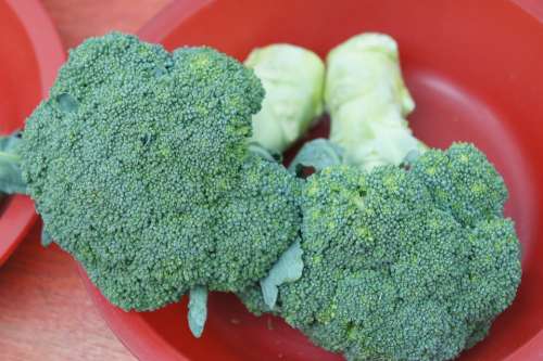 Broccoli Vegetable Market Green Diet Plants