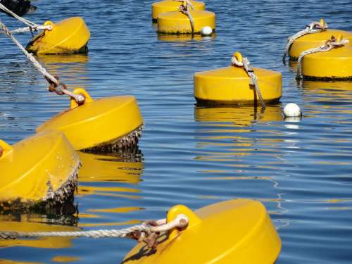 Buoy Flotation Mooring Float Water Yellow