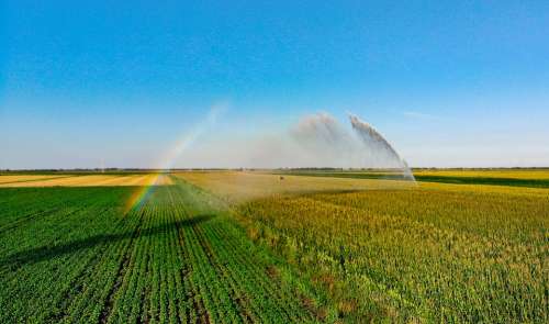 Campaign Veneto Sprinkler Rainbow Wheat Water