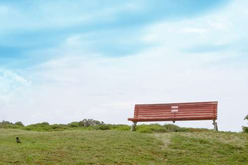 Chair Wooden Seat Outdoor Park Nature Bench