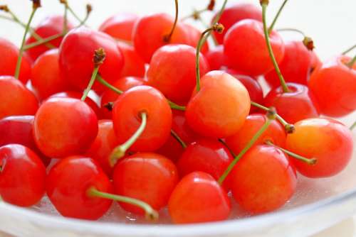 Cherry Fruit Summer Red