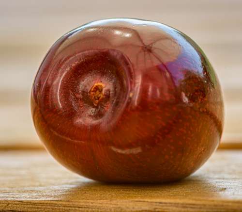 Cherry Fruit Mirroring Shell Macro Red Ripe