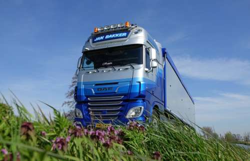 Daf Truck Trailer Blue Flowers