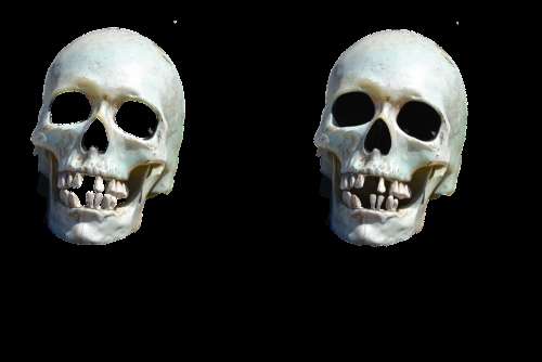 Death Once Skull Halloween Grave Skeleton Bones