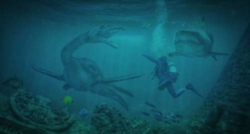 Diving Sea Water Underwater World Ocean Divers