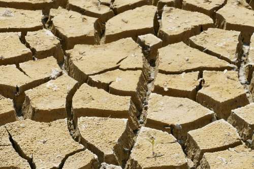 Dry Dehydration Drought Rip Crack Earth Ground