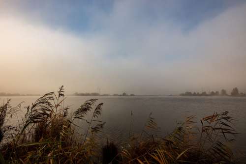 East Frisia Moor Fog Reed Landscape Lake Nature