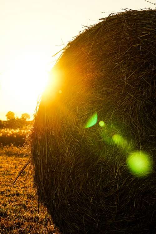 Evening Sky Sunset Incidence Of Light Hay Hay Bales