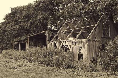 Expired Barn Vintage Old Leave Building Hut