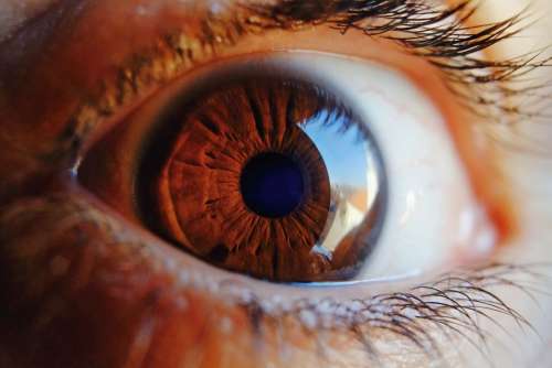 Eye Macro Vision Human Iris Woman Look Pupil