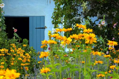 Farm Thatched Roofs Cottage Garden Garden