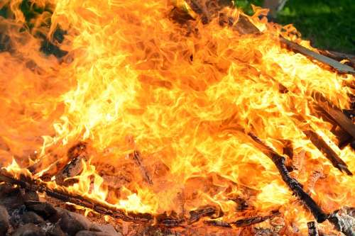 Fire Campfire Flame Burn Hot Heat Wood Embers