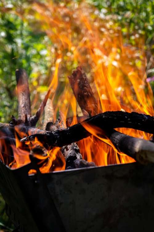 Fire Mangal Firewood Coals Burn Fever Flame
