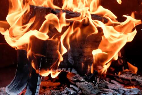 Fire Flame Wood Burn Heat Hot Light Glow Embers