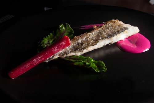 Fish Kitchen Sicily Italy Beet Meal Gourmet Cool