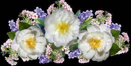 Flowers Camellias Wax Flowers Bluebells Arrangement