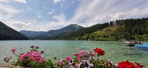 Flowers Lake Nature Background Water Landscape