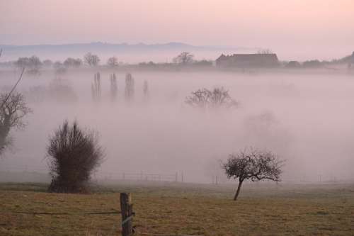 Fog Early Morning Sunrise Tree Silent Horizon
