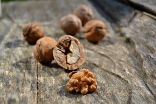 Food Nuts Wood Brown Organic Nature Diet Healthy