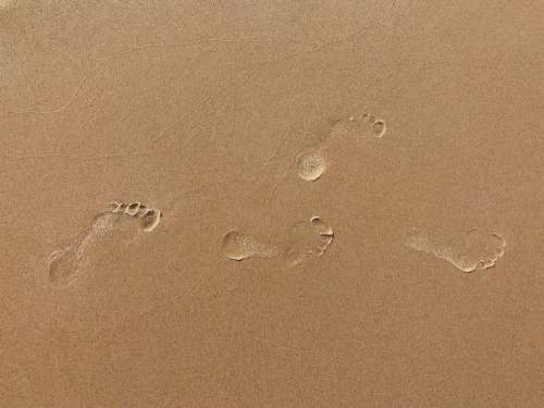 Footprints Beach Sand Coast Barefoot Steps Summer