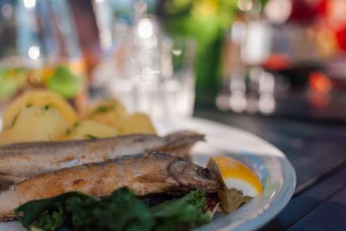 Fried Fish Whitefish Dinner Holidays Restaurant