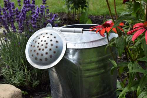 Garden Watering Can Watering Flowers Green Summer