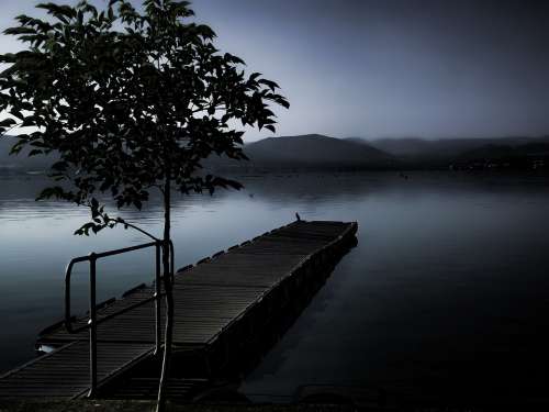 Ghostly Mist Dam Water Misty Landscape Nature