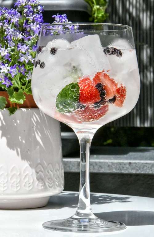 Gin Cocktail Bar Alcohol Lemon Glass Vodka