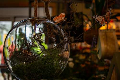 Glass Ornament Decoration Ball Butterfly Seasonal