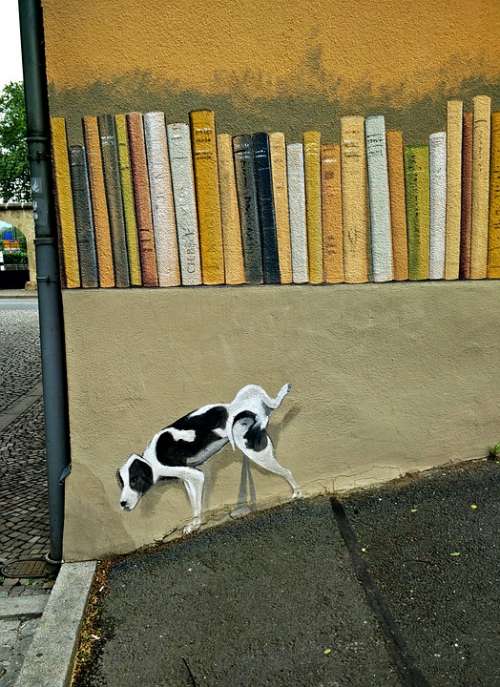 Graffiti Jena Street Art Spray Painting Dog Books
